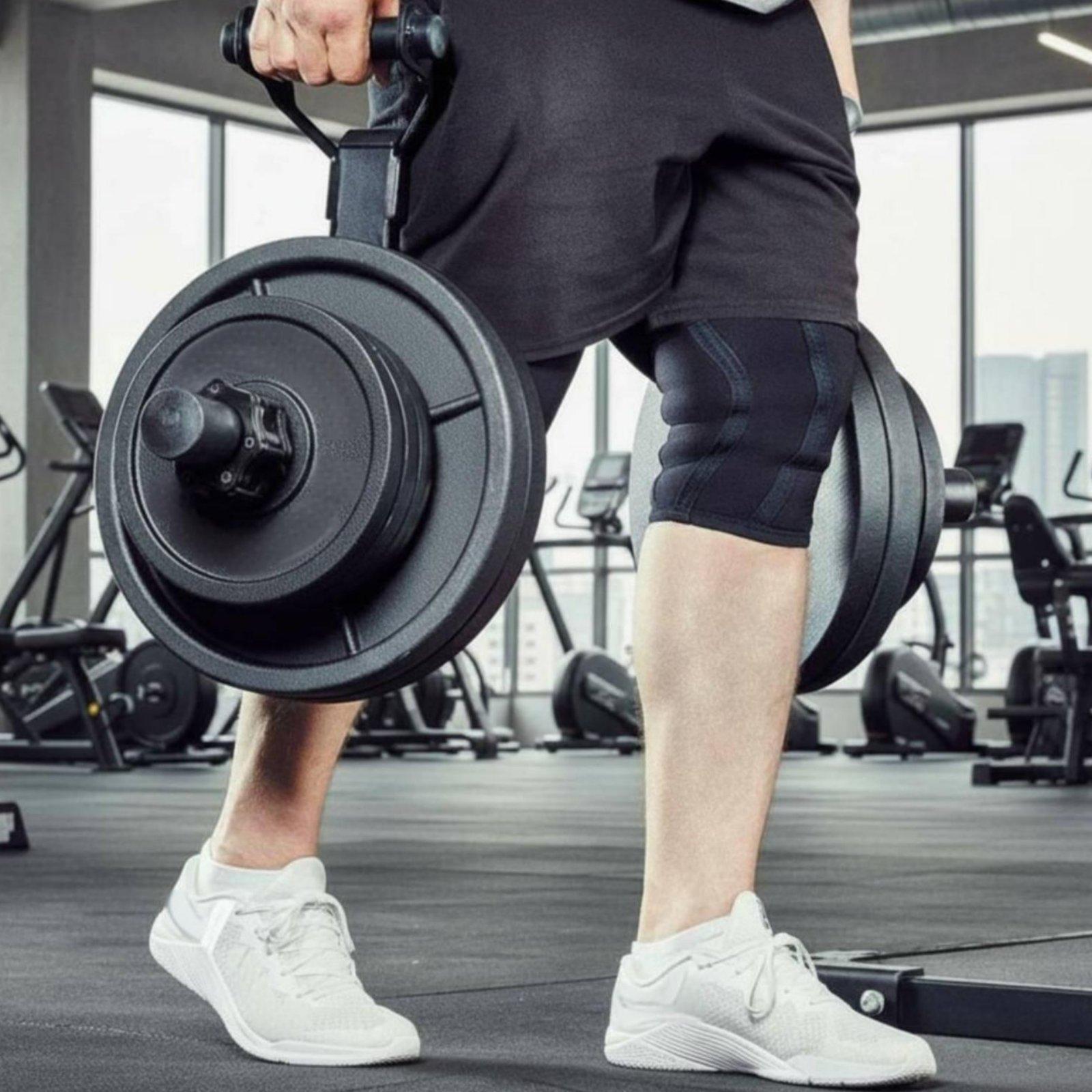 Rak Penyimpanan Pelat Barbel M - Fitness Equipment ulasan dan harga
