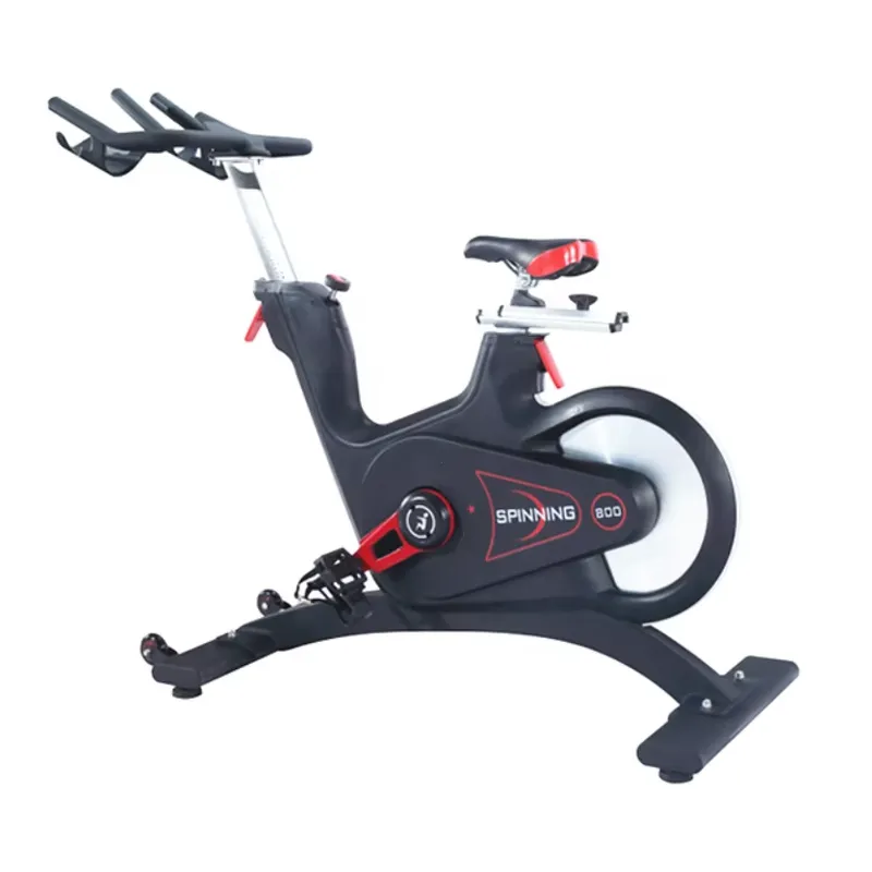Sepeda Spinning Magnetik Profe - Exercise Bike Magnetic Resistance ulasan dan harga