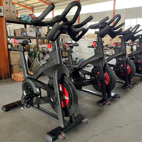 Sepeda Statis Profesional untu - Exercise Bike Magnetic Resistance ulasan dan harga